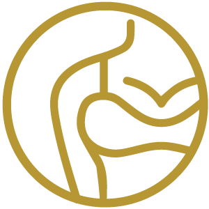 icono detalle técnico