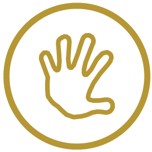 icono detalle técnico