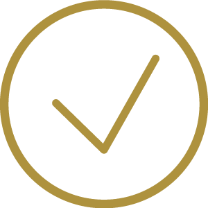 icono detalle técnico